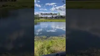 alligators r one of my worst fears 😭💀 #alligators #lake #shorts