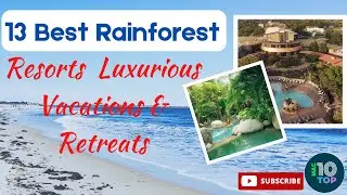 13 Best Rainforest Resorts Luxurious Vacations & Retreats