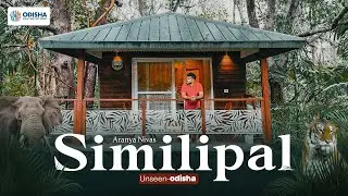 A DAY IN SIMIILIPAL, ODISHA'S DEEP JUNGLE | Best Travel Destination in odisha - Aranya Nivas lulung|