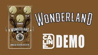 Caline - Wonderland Ambient Reverb Machine - Demo (5 Series)