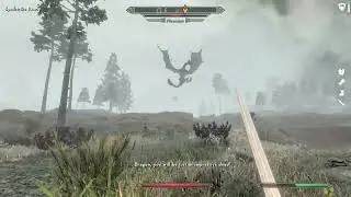 Skyrim - That time I killed a dragon with a ward