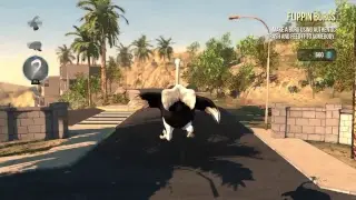 Ostrich's can fly!