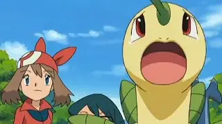 Bayleef worried for Ash