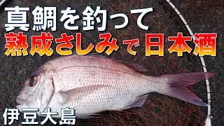 【両軸遠投カゴ釣り】伊豆大島の堤防でデカイ真鯛をゲット！熟成させた刺身で日本酒晩酌でもう天国【真鯛】Japan's Fishing Videos.【saltwater fishing】