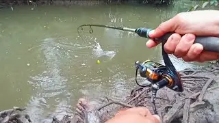 #EP1265 Tiga Hari Mancing Ikan