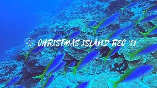 Diving + Exploring Christmas Island (Rec Trip 2021)