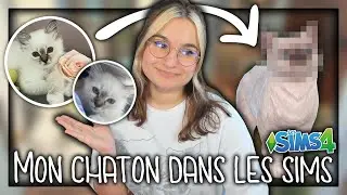 ☾ Je fais mon nouveau chaton dans les sims ! - Sims 4 ☽