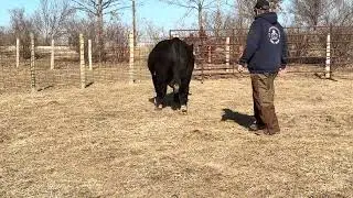 Lot A: SBH 49