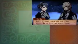3DS Fire Emblem Conquest Test