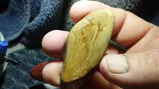 26-3-2020 jasper and Petrified wood Cabs.