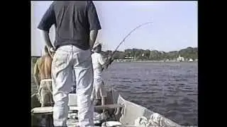 Connecticut river striper & blue fishing New England and other stuff connecticut @judd0112
