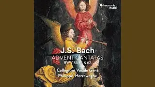 Nun komm, der Heiden Heiland, BWV 61: V. Recitativo 