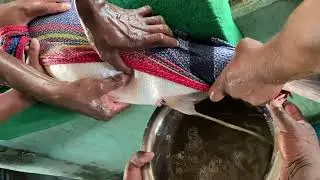Safe Fish Belly Squeezing for Egg Harvesting