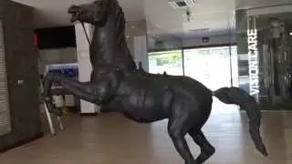 Colombo Racecourse Sri Lanka