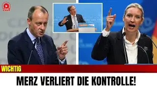 UNFASSBAR: Jetzt wechseln WEITERE 15 CDU-Abgeordnete zur AfD - Merz am ENDE!