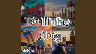 Pull the Plug (feat. Ethermc4hire & D.Cutz)