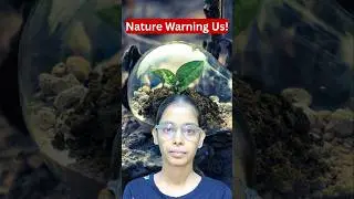 Why India Is Facing an Environmental Emergency?