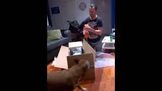 Evolve carbon electric skateboard unboxing