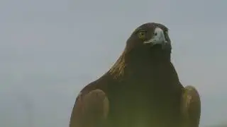 30 Second Ad