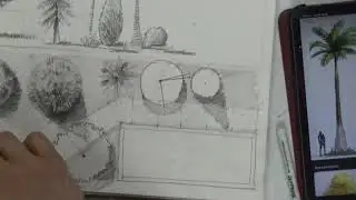 Arboles con lapiz de grafito. P2