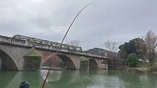 15 gennaio 2026