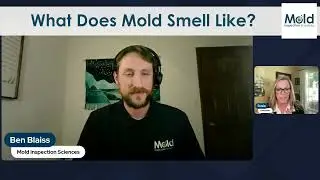 What does mold smell like?
