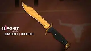 CS:GO | Bowie Knife - Tiger Tooth