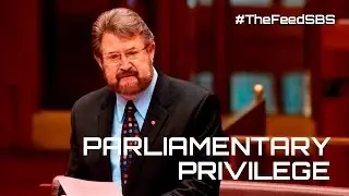 Derrn Hinch names pedophiles under parliamentary privilege - The Feed