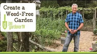 How to Create a Weed-Free Garden