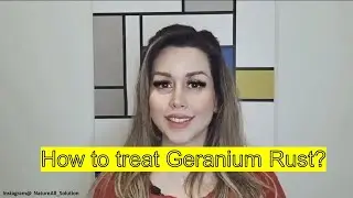 How to treat Geranium Rust?