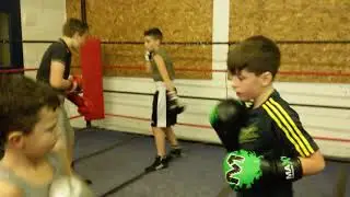 Epic Golden Gloves Boxing Club Newark Notts