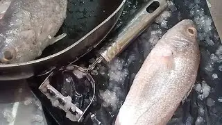 #shorts / Use peeler to remove fish scales without struggling 😊