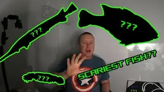 Top 5 Scariest Fish in North America's Freshwater!