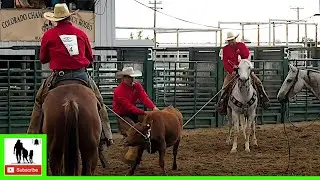 Team Doctoring - 2020 Colorado Championship Ranch Rodeo (Saturday)