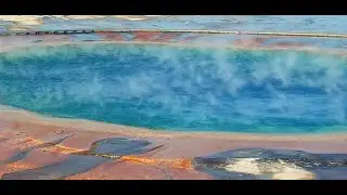 Hot Colors- How do bacteria survive in extreme temperatures?