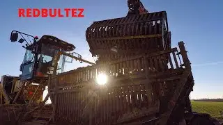Déterrage de betteraves 2021 / Ropa Bunker Maus 5 [GoPro]