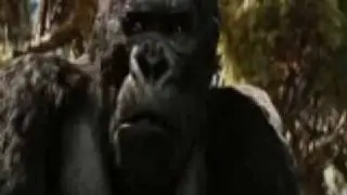 Celine Dion Love Doesn't Ask Why(KingKong)
