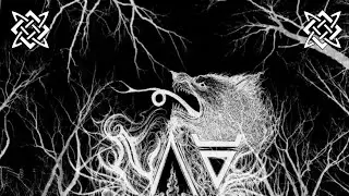 NAV - Necrotic Voices From the &AElig;ther (EP)