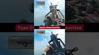 Epic Type 25 [Silver Ghoul] vs Default Type 25 | Weapon Inspection Comparison | Call of Duty Mobile