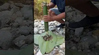 Old Tribal Fishing Method: Diverting River to Catch Fish | Father & Boy Trip ki