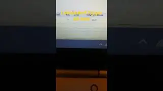 No loss!!!! Binary bot | working strategy| August 18