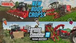 A GUIDE TO&hellip; NEW ROOT CROPS (CARROT, PARSNIP, RED BEET)| PREMIUM EXPANSION | INFO SHARING & MORE!