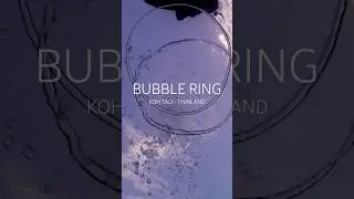 Watch Bubble Rings Dance to the Surface | Underwater Magic #kohtaodiving #scubadiving #bubblering