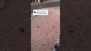Have You Found This Hidden Cache At Disneyland?