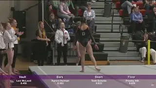 Gymnastics: Dickinson's Karsky takes wins four individual titles