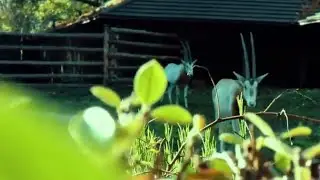 MUST VISIT PLACE OF  WARSAW POLAND / ZOO POLAND / WARSZAWA ZOO /