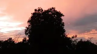 ￼ introspective Spoken word￼