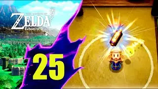25. LA PALESTRA DEI SOGNI E L'ATTESTATO FINALE - THE LEGEND OF ZELDA: ECHOES OF WISDOM - ITA