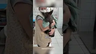 Rare Photos You Have Never Seen Before 2