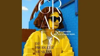 DJ Producer Musician (ELIF & Predex Remix)